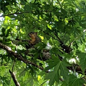 Meet your Posher, Pam